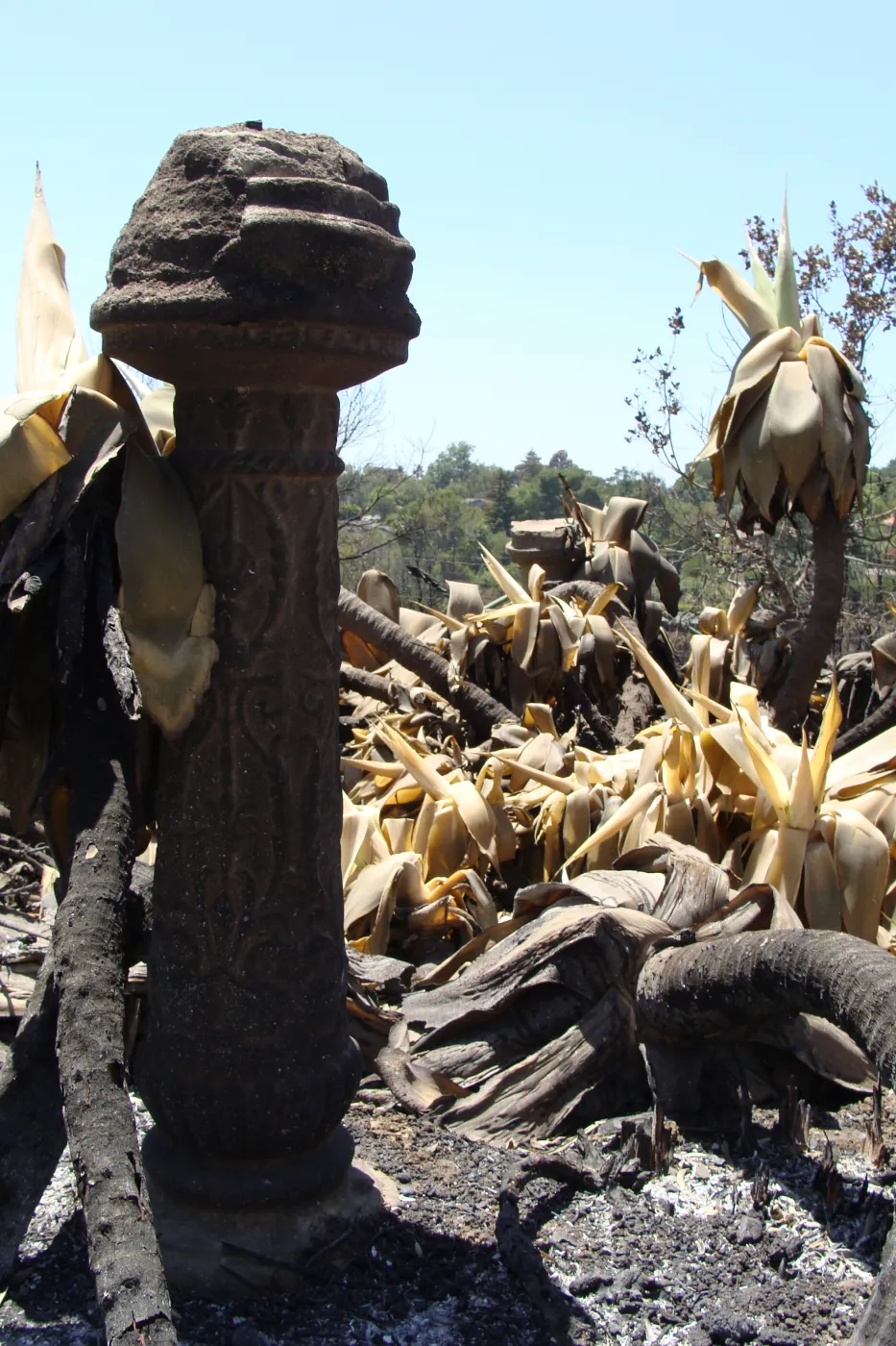 ornamental garden pillar and burned succulents at the Gane/Lotterhos site, after the Jesusita Fire