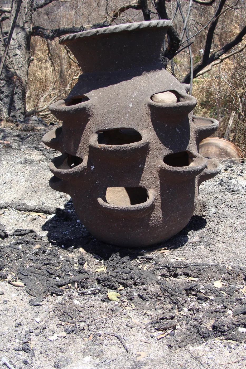 burned clay strawberry pot, at the Gane/Lotterhos site, after the Jesusita Fire