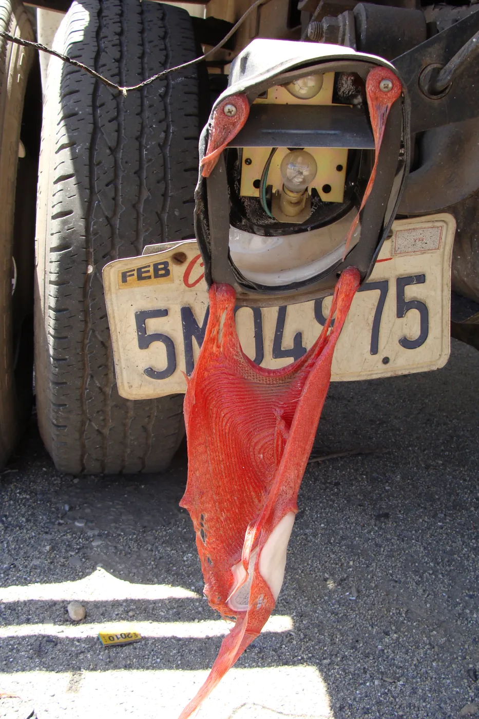 melted tail light on garden vehicle, after the Jesusita Fire