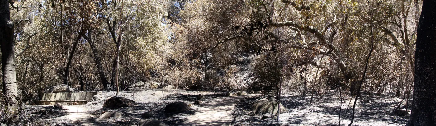 Campbell Bridge and stone bench, panorama, one week after the Jesusita Fire