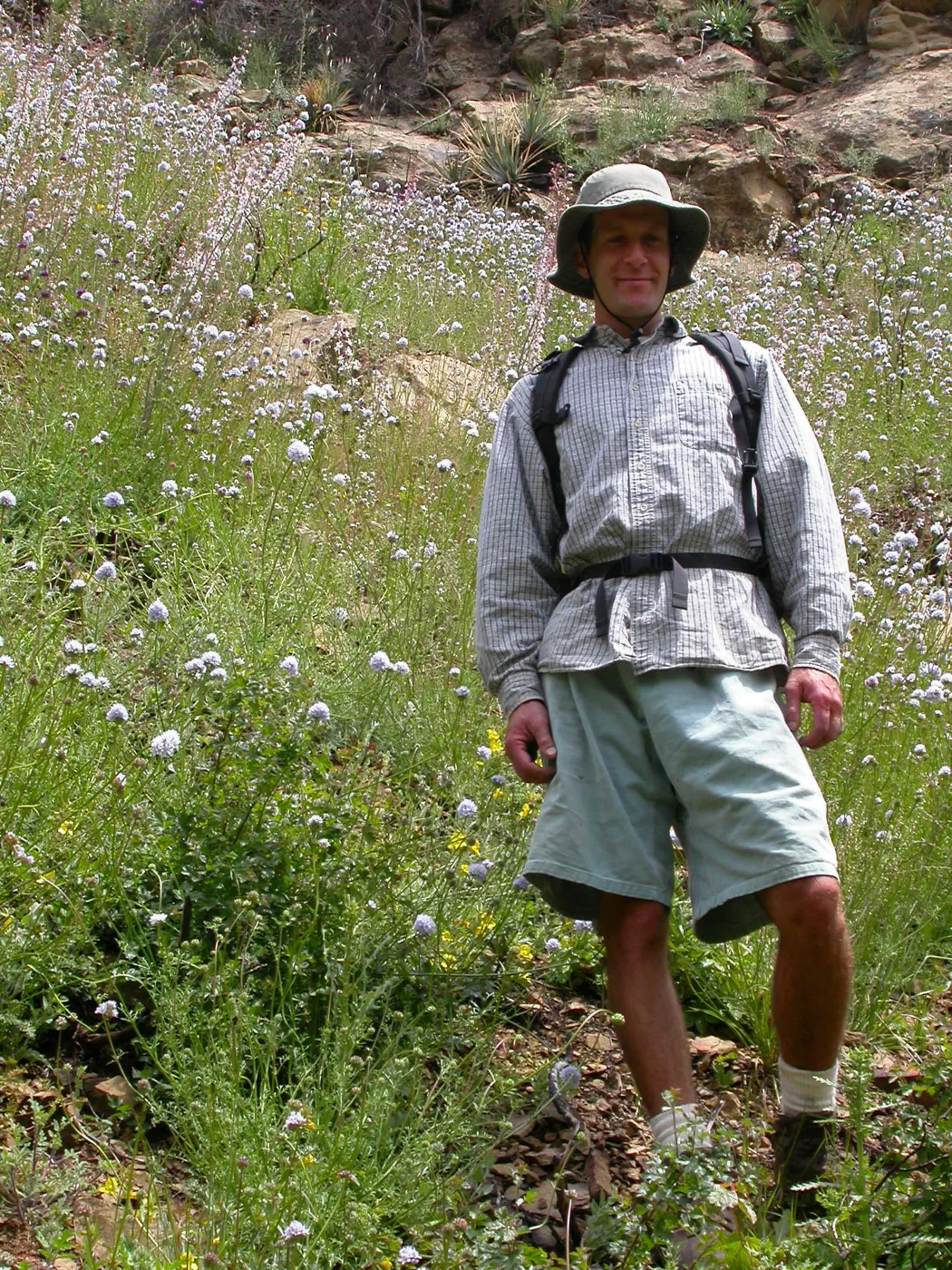 Jason Nelson, Hwy 33, Derrydale Creek