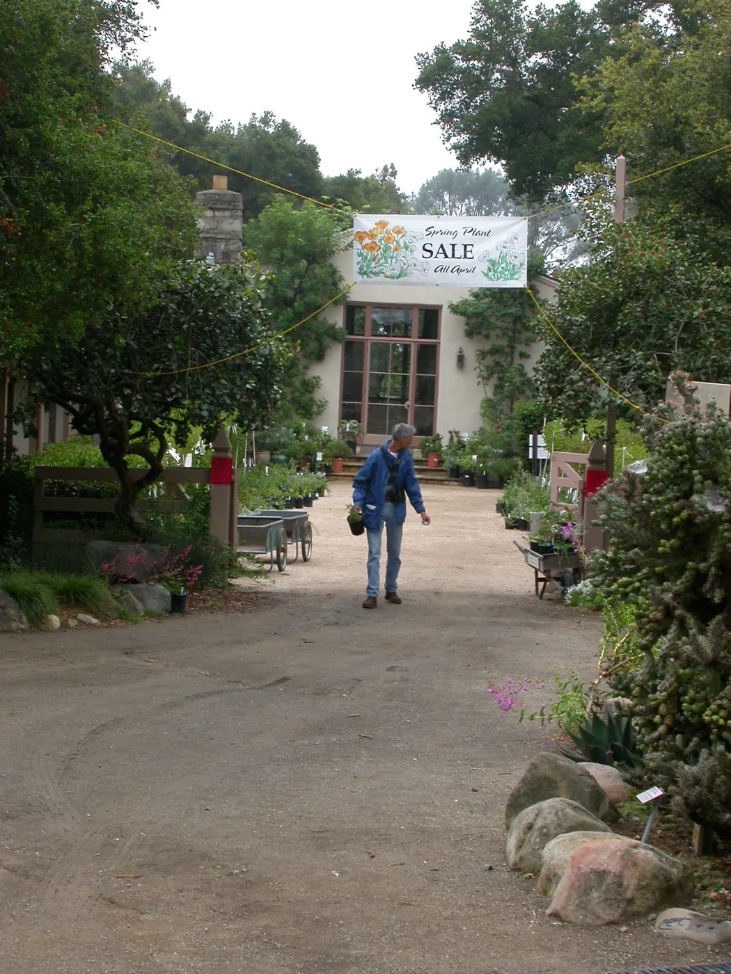 Spring Plant Sale, Blaskely Library