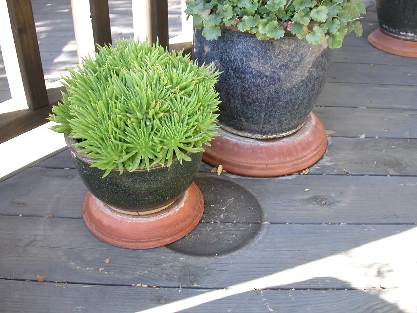 Home Demonstration Deck Pots
