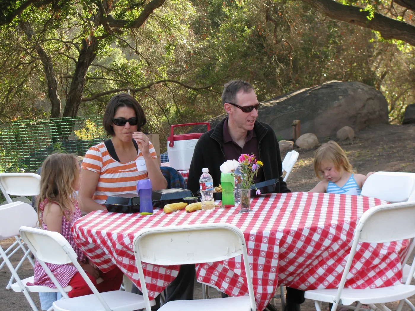 Members Picnic 2010
