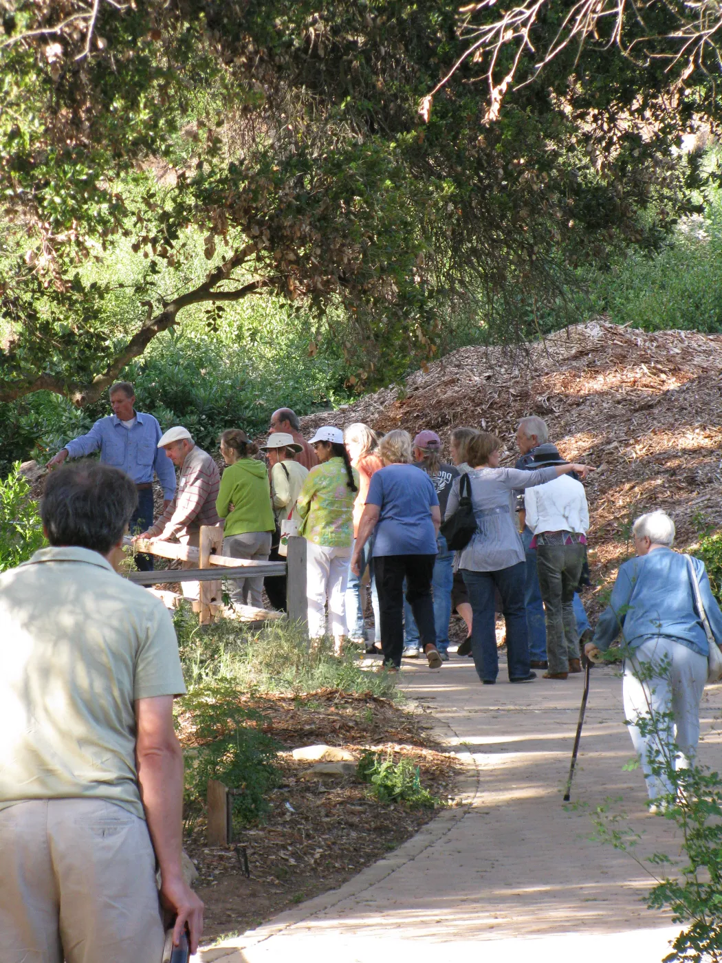 Members Picnic 2010