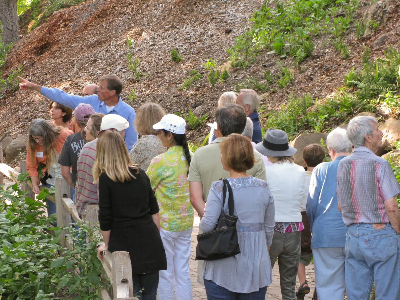 Members Picnic 2010
