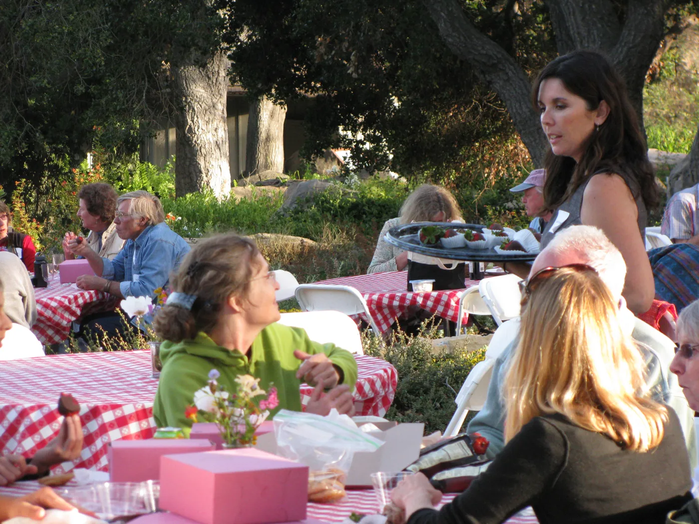 Members Picnic 2010