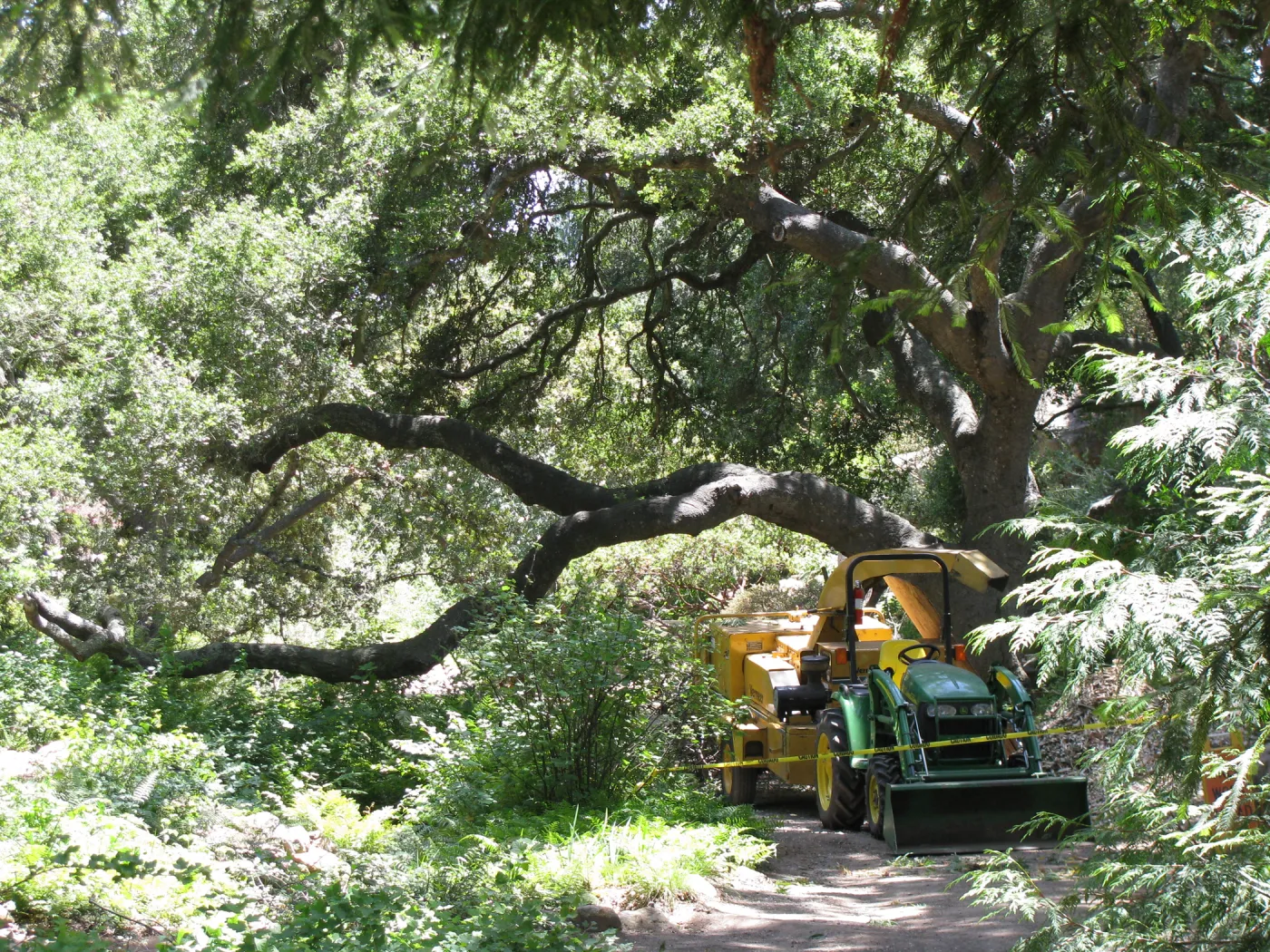 Vegetation Clearing