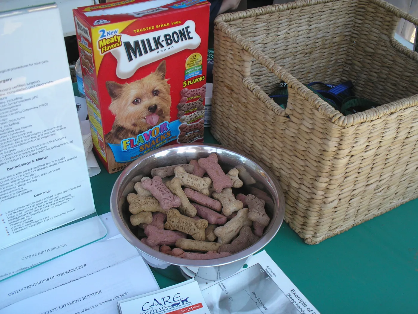 Doggie Bagel Brunch 2009