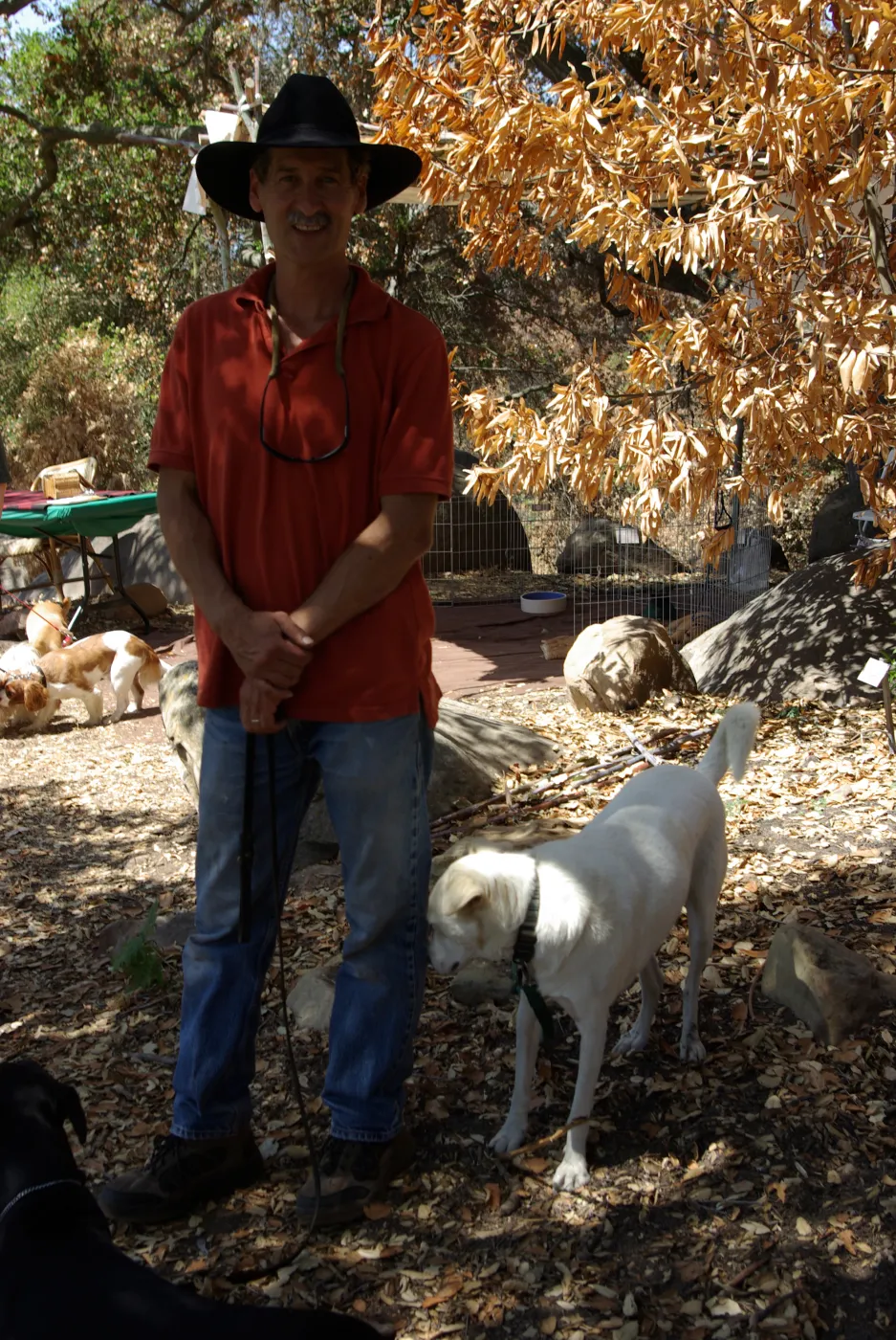 Doggie Bagel Brunch 2009