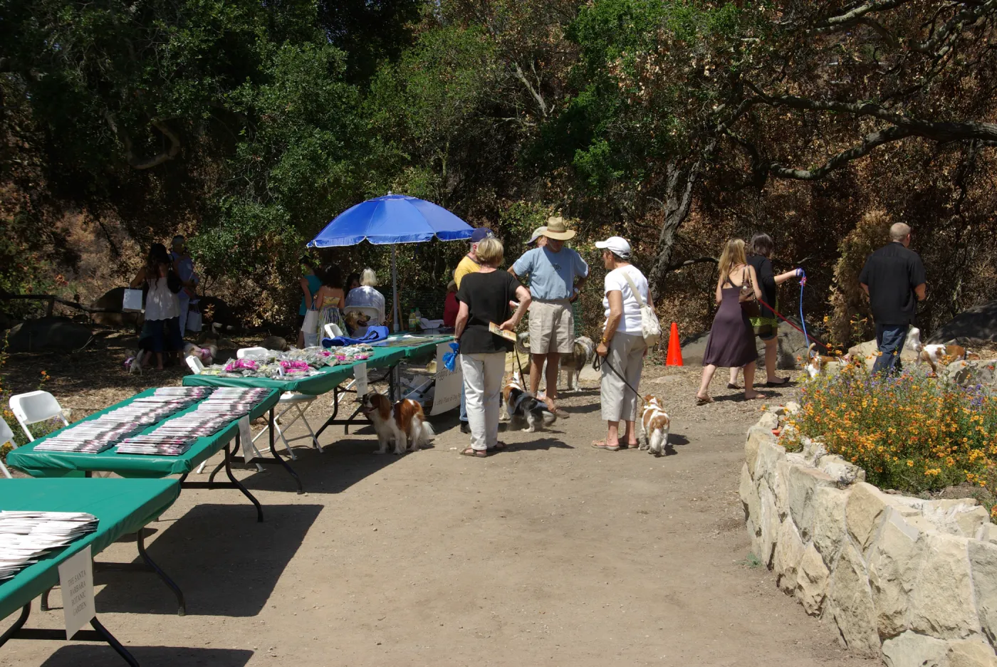 Doggie Bagel Brunch 2009