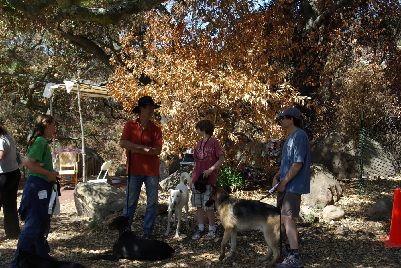 Doggie Bagel Brunch 2009