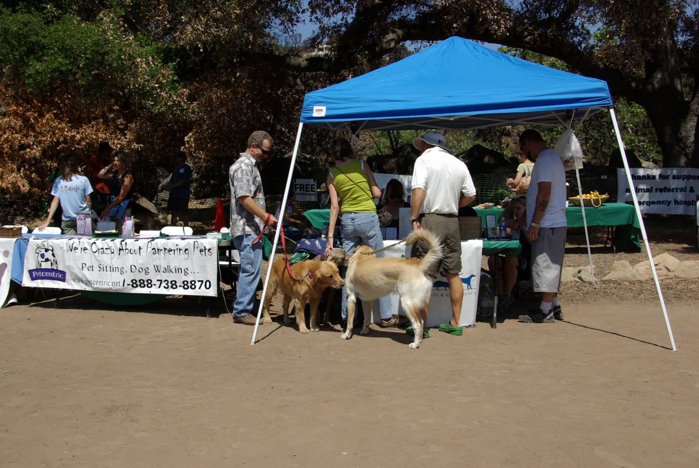 Doggie Bagel Brunch 2009