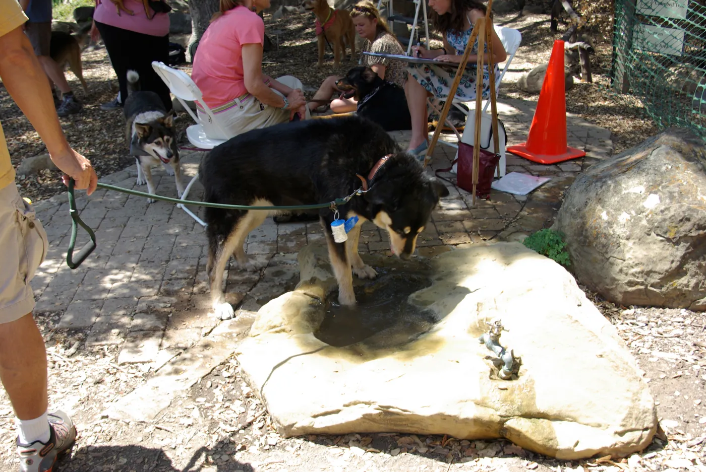 Doggie Bagel Brunch 2009