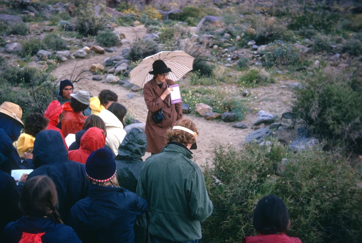 UCSB Botany 103 winter quarter field trip to Anza Borrego Desert