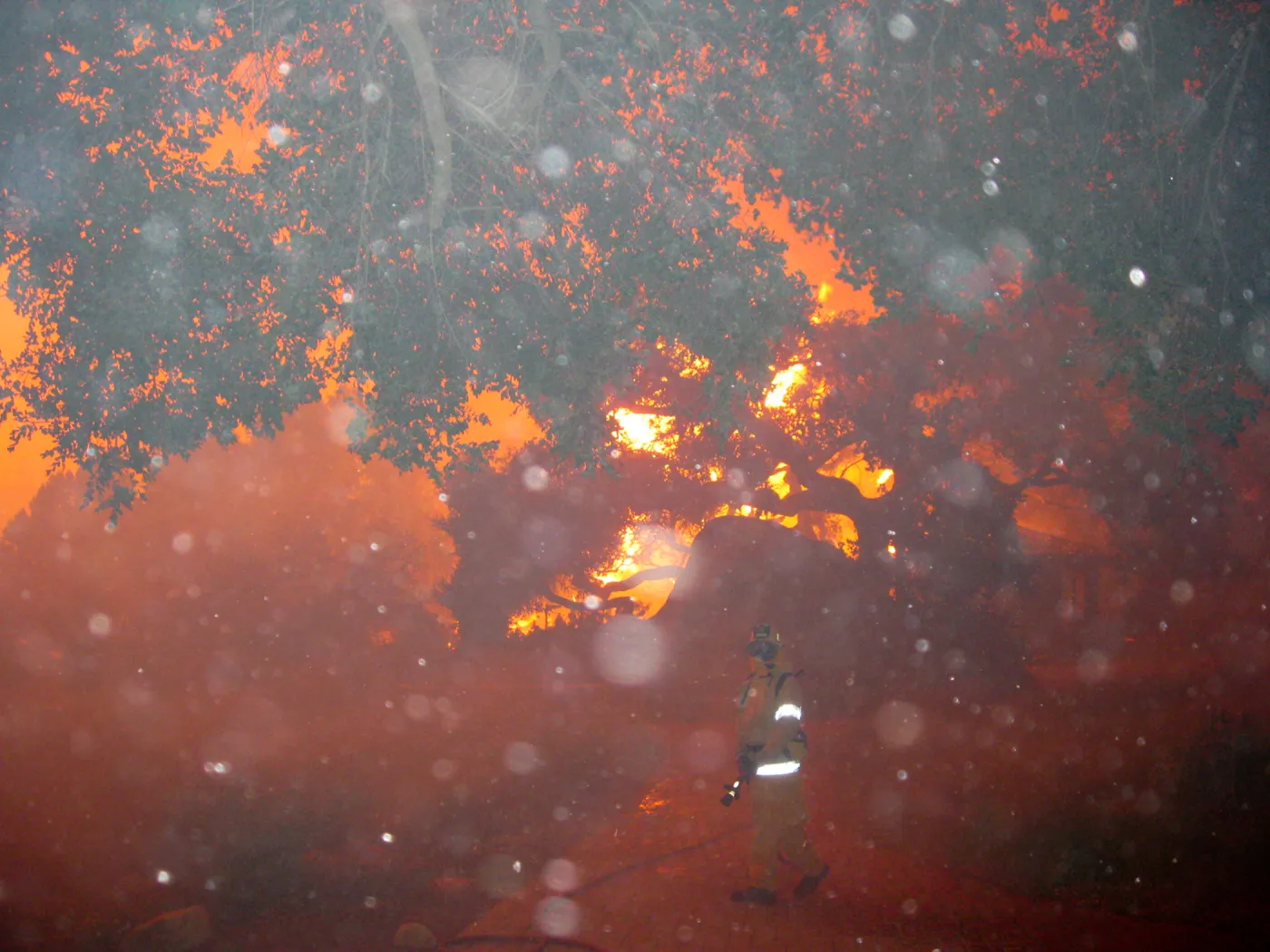 Jesusita Fire in the Garden, taken by a firefighter during the firestorm at SBBG