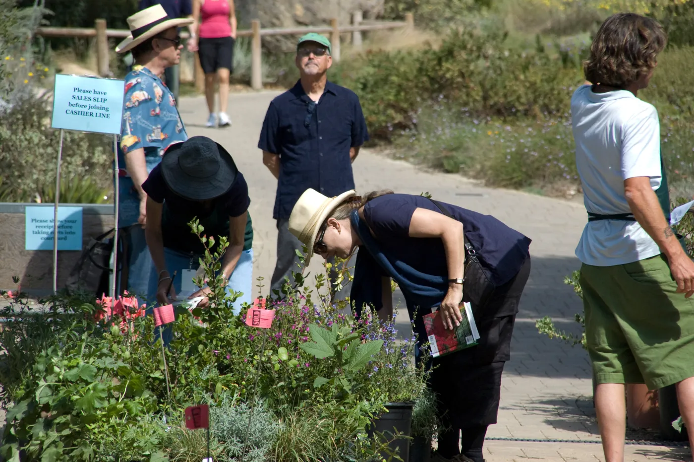 Tom Rhodes, SBBG VSR, visitors, plants with red 'SOLD' tags, SBBG Fall Plant Sale 2010