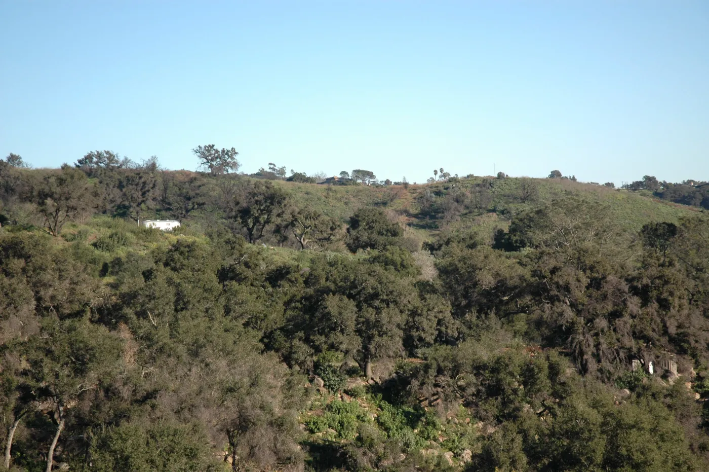 Tunnel Road along Pritchett Trail