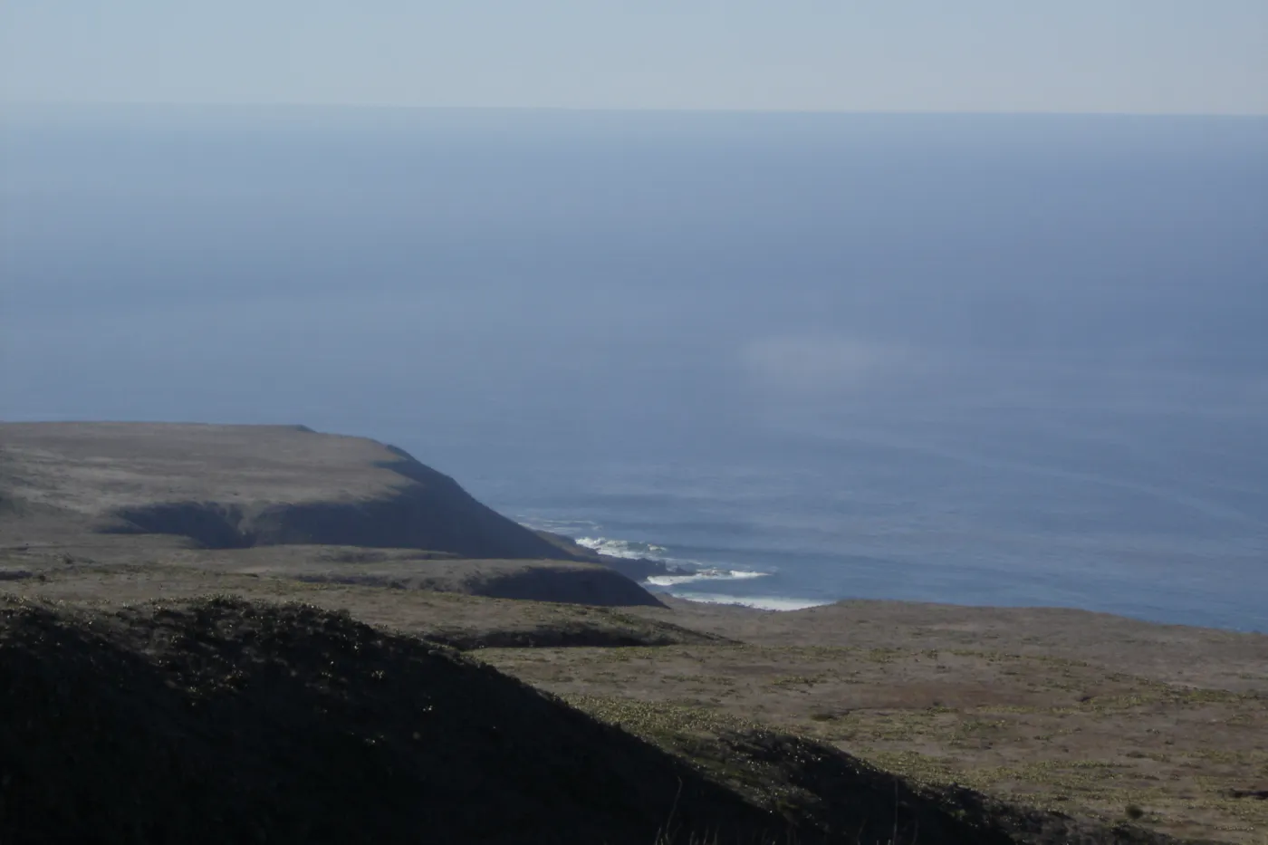 San Clemente Island, SBBG Research 2007