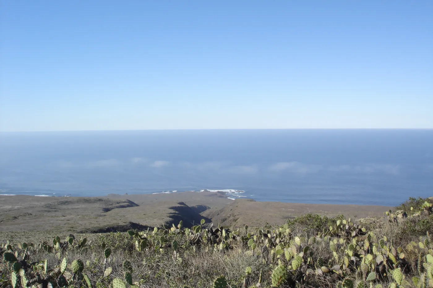 San Clemente Island, SBBG Research 2007