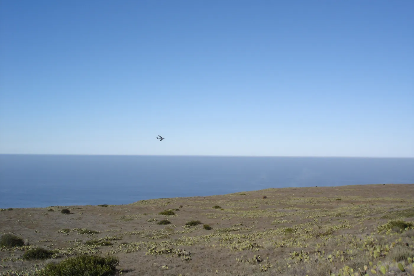 San Clemente Island, SBBG Research 2007
