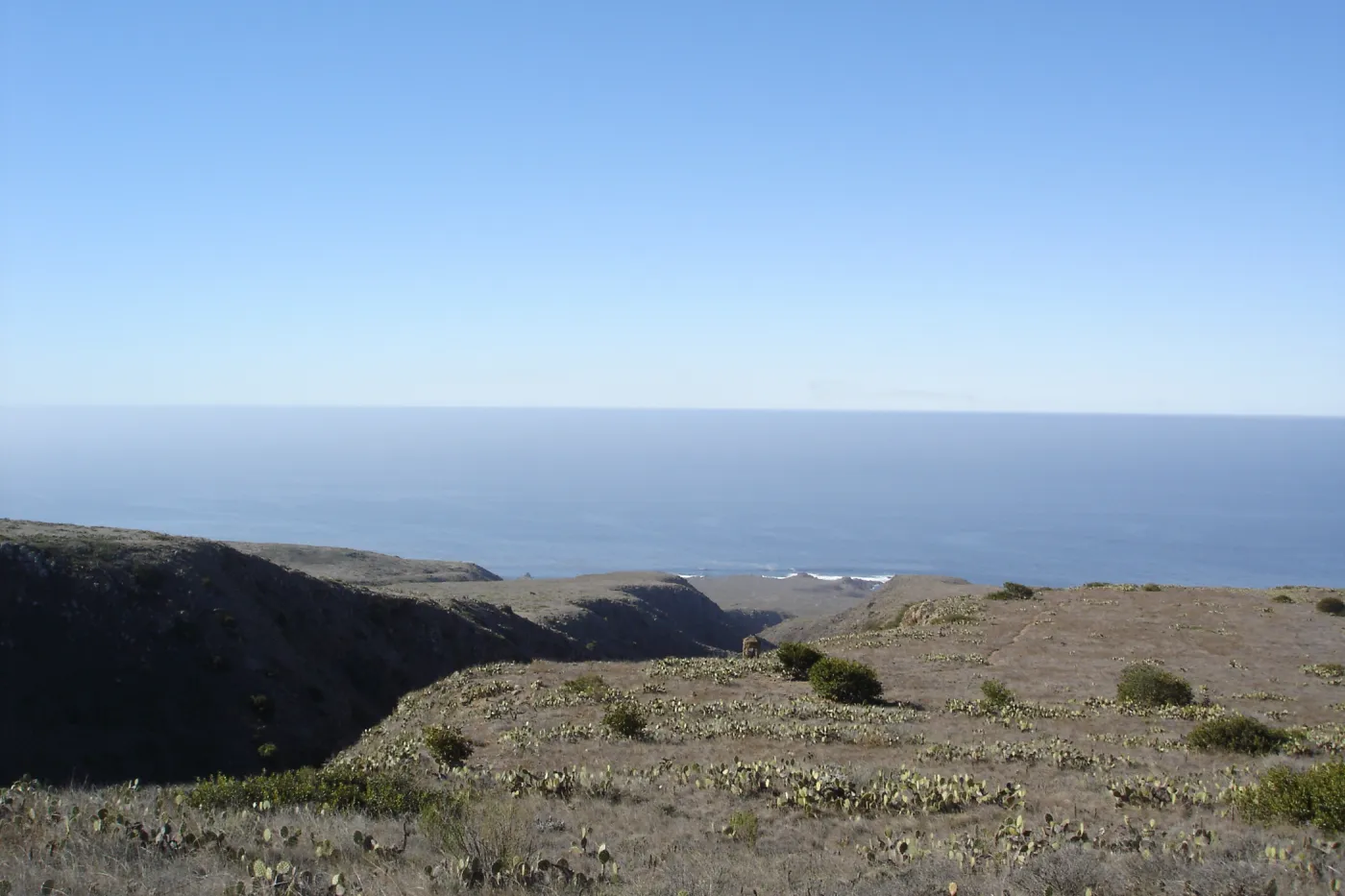 San Clemente Island, SBBG Research 2007