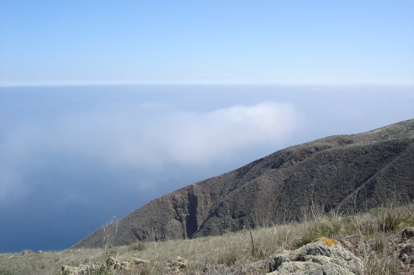 San Clemente Island, SBBG Research 2007