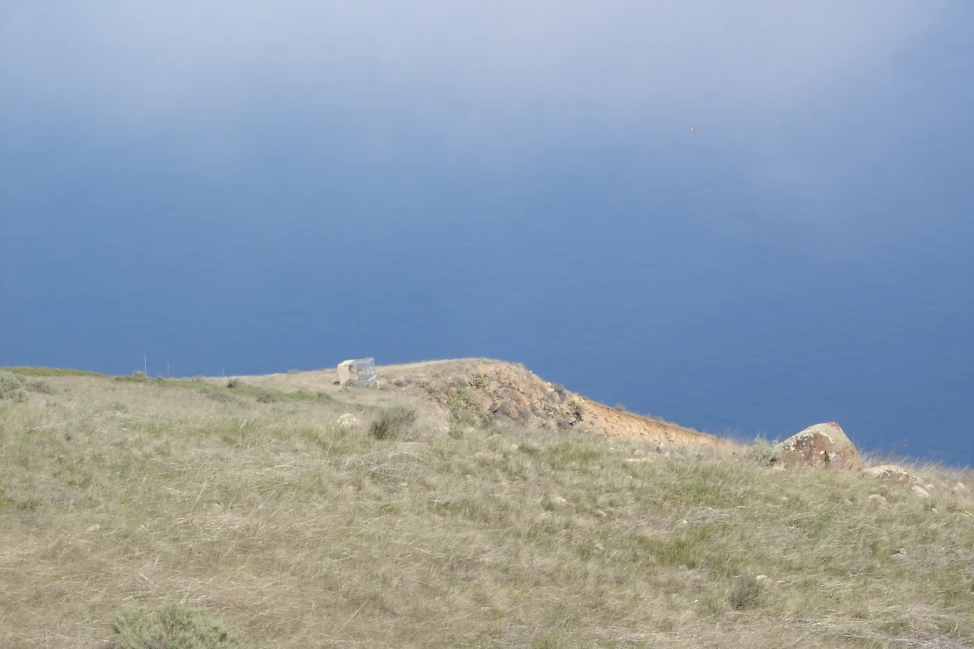 San Clemente Island, SBBG Research 2007