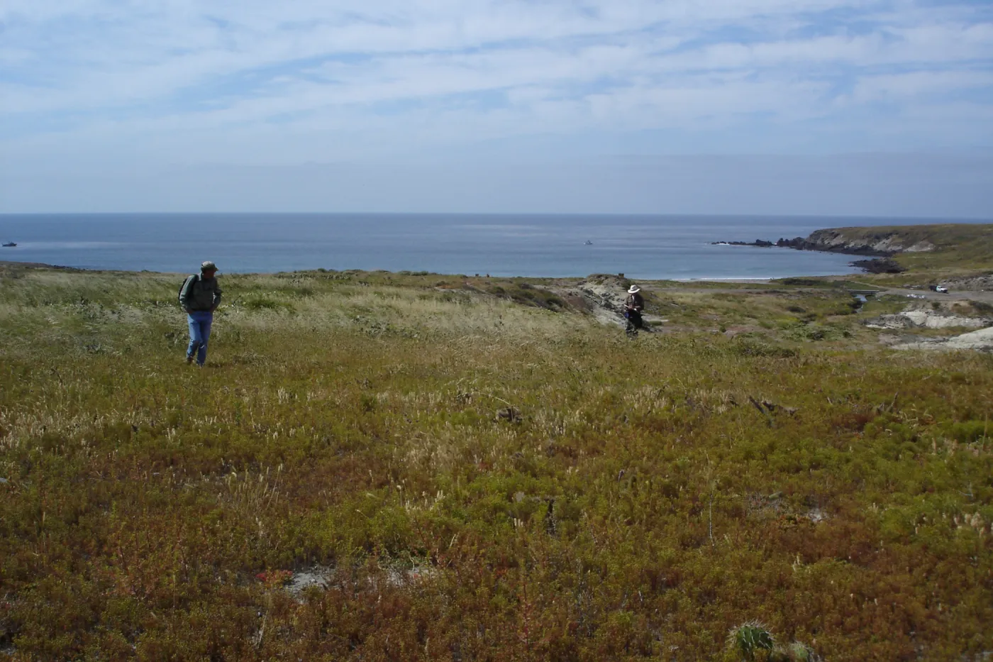 San Clemente Island, SBBG Research 2005