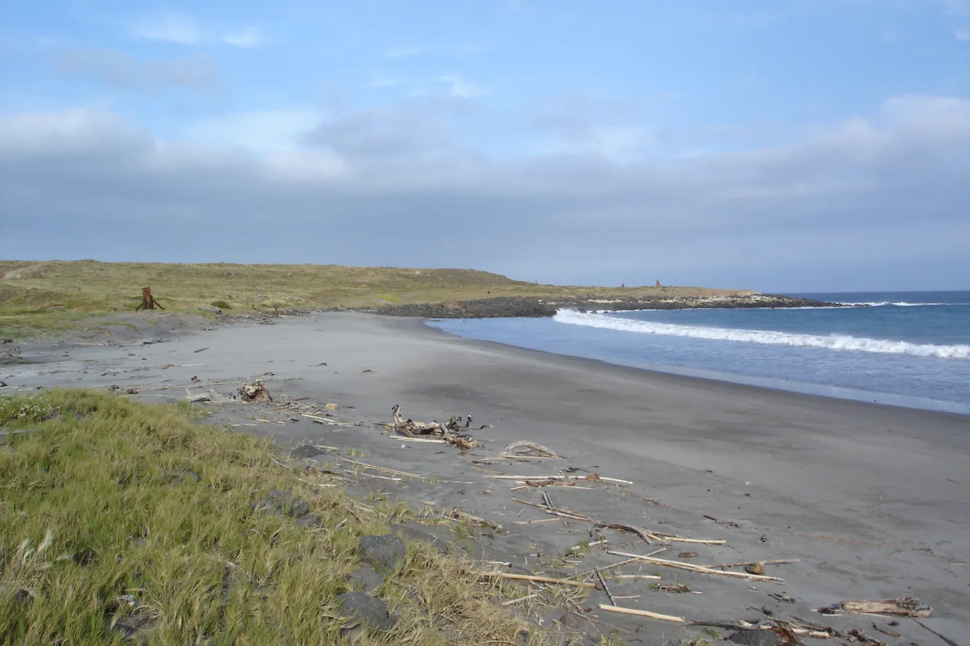 Horse Beach Cove, San Clemente Island, SBBG Research 2005