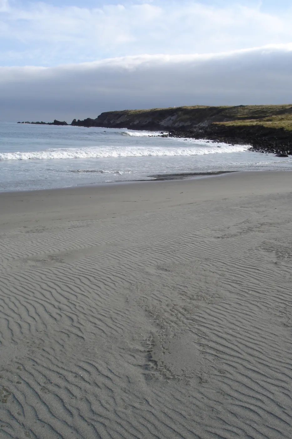 Horse Beach Cove, San Clemente Island, SBBG Research 2005