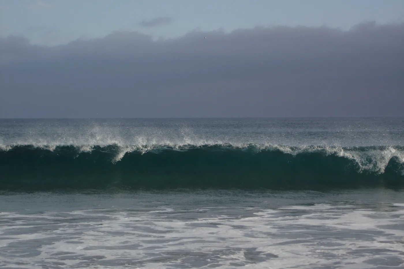 breaking waves, San Clemente Island, SBBG Research 2005