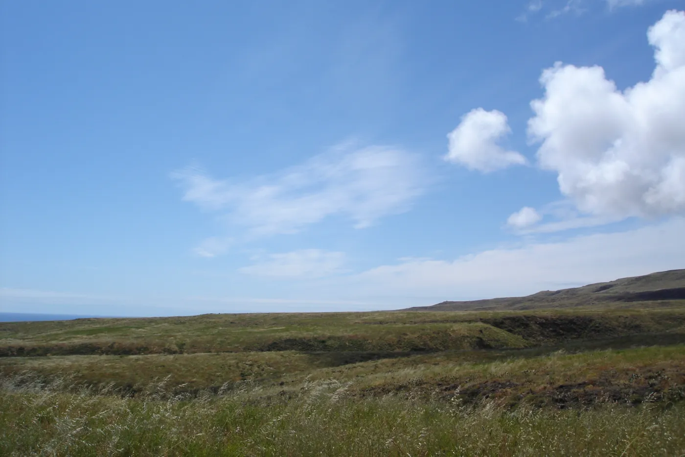 San Clemente Island, SBBG Research 2005