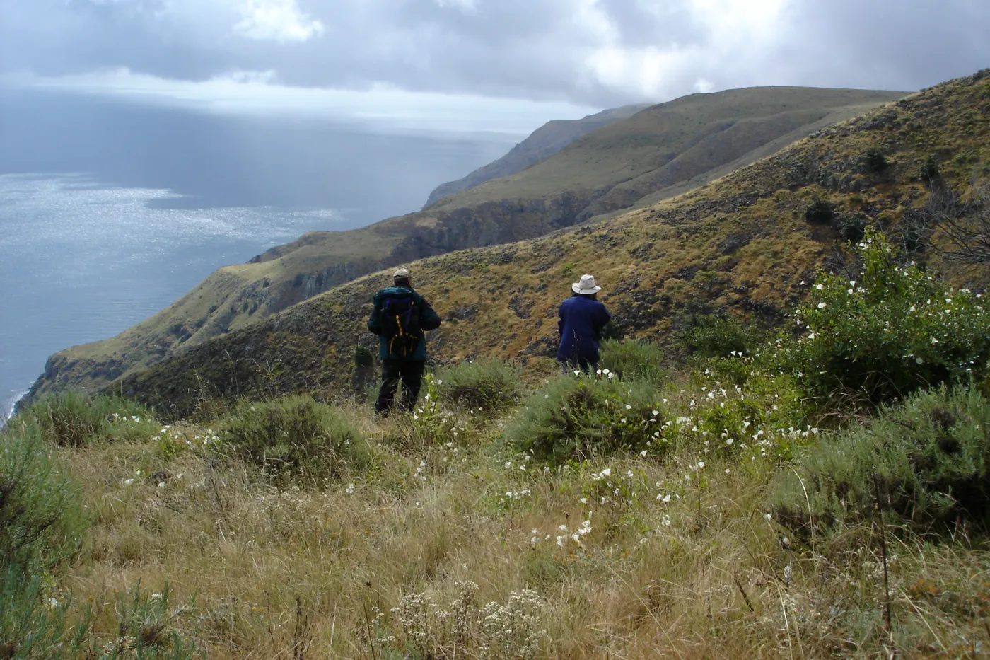 San Clemente Island, SBBG Research 2005, Steve Junak and Bob Muller
