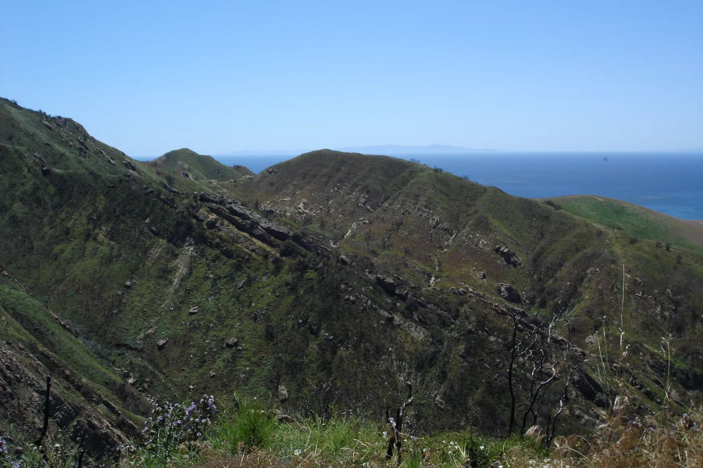 Gaviota burn site, SBBG staff field trip 2005, view to Santa Rosa and San Miguel Islands