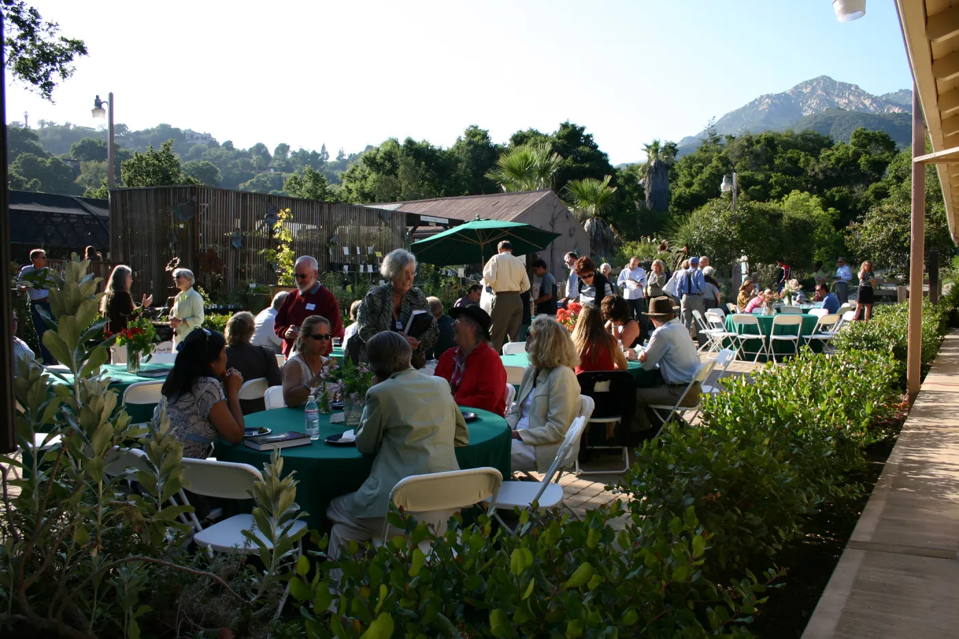 Trees of Santa Barbara book signing 2005