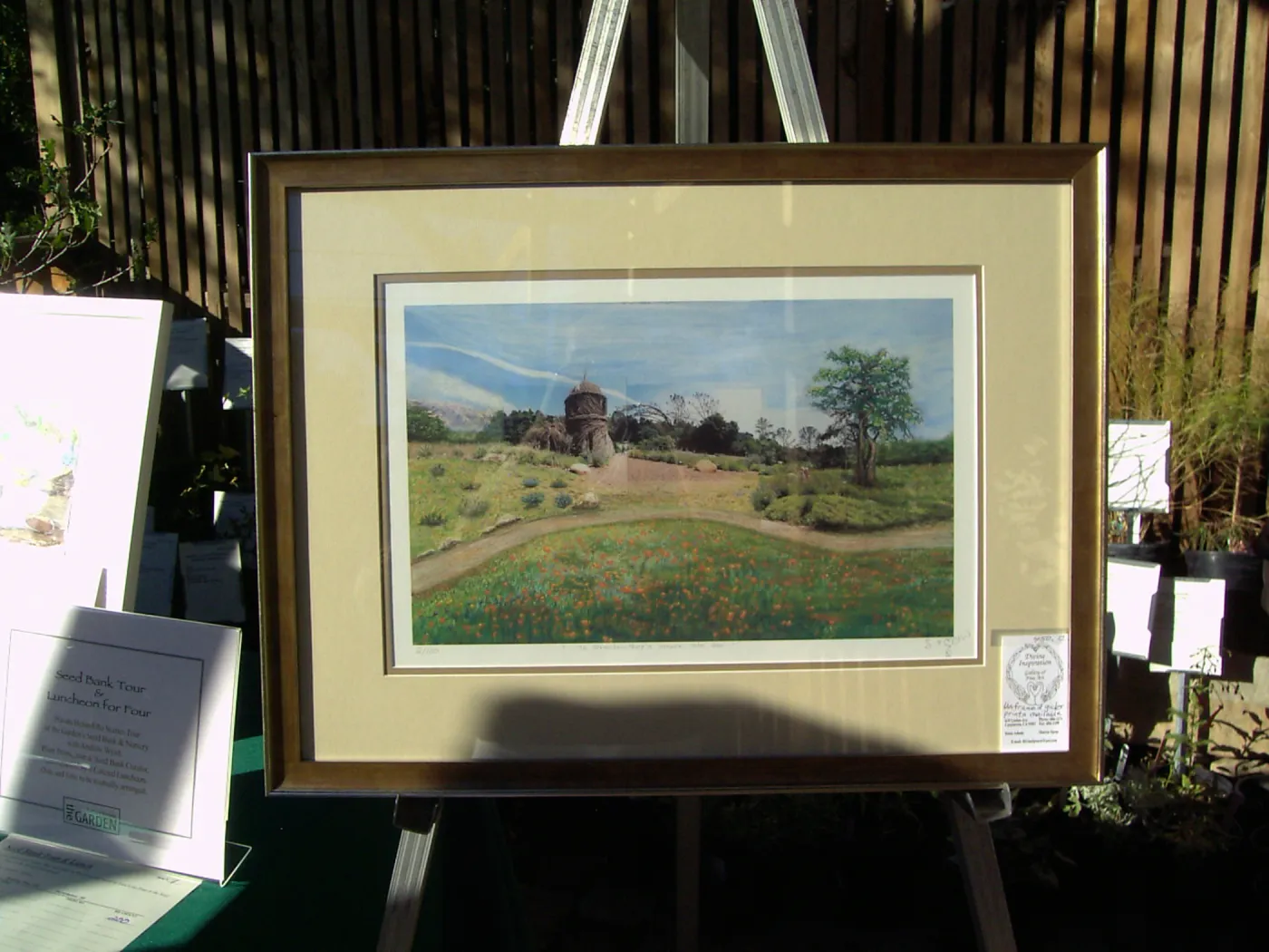 painting of Toad Hall in the Meadow, silent auction item, Fall Plant Sale, 2005 