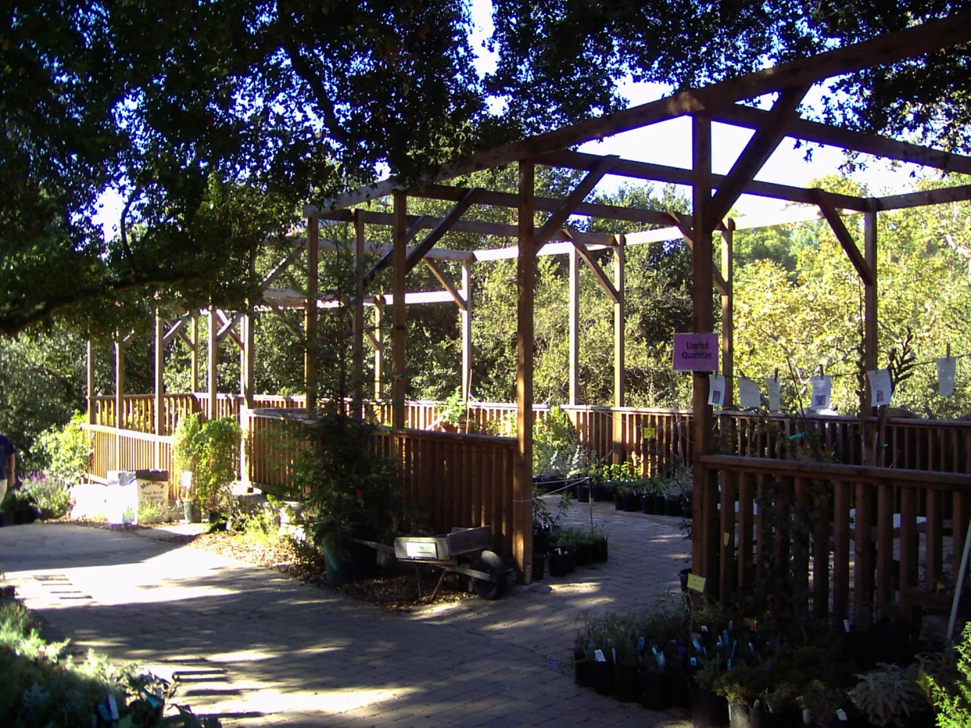 Arbor Terrace, Fall Plant Sale, 2005