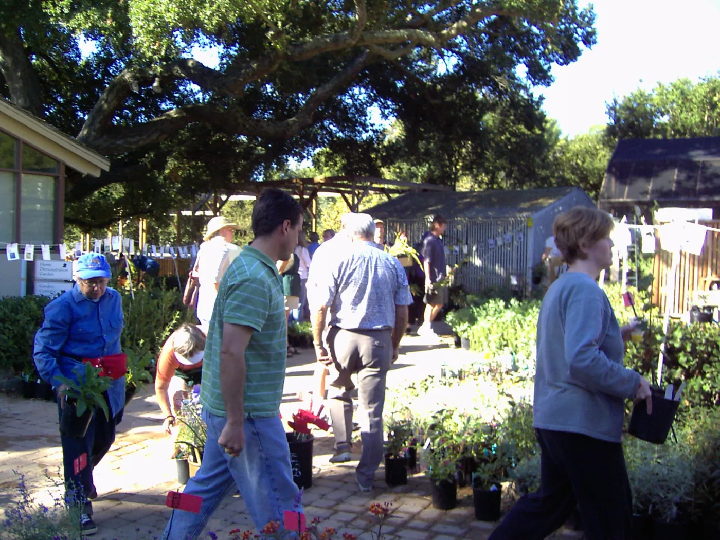 Fall Plant Sale, 2005