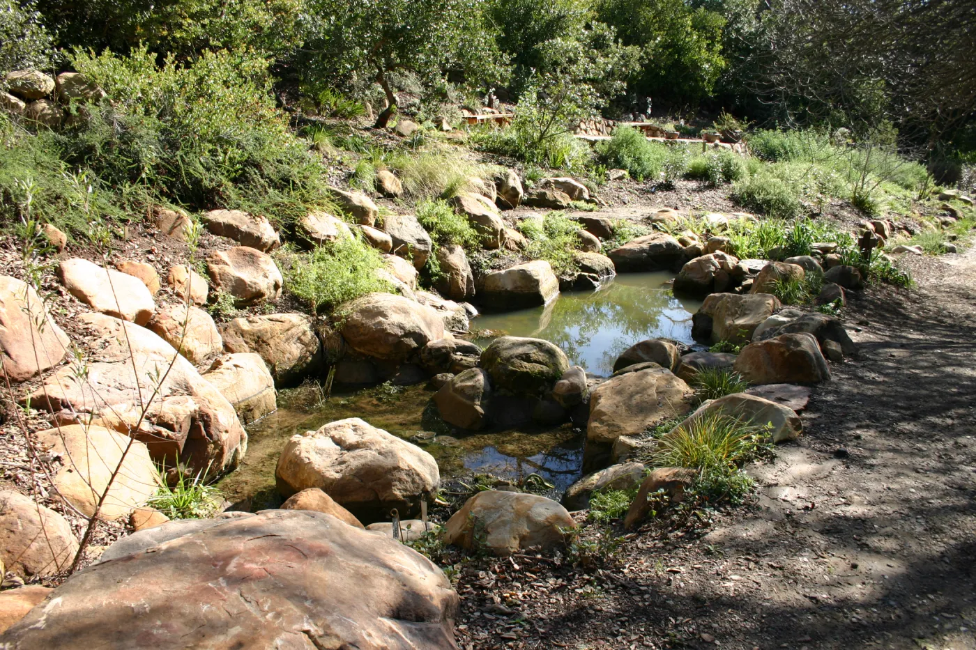new ponds in the Discovery Garden, Arroyo Section