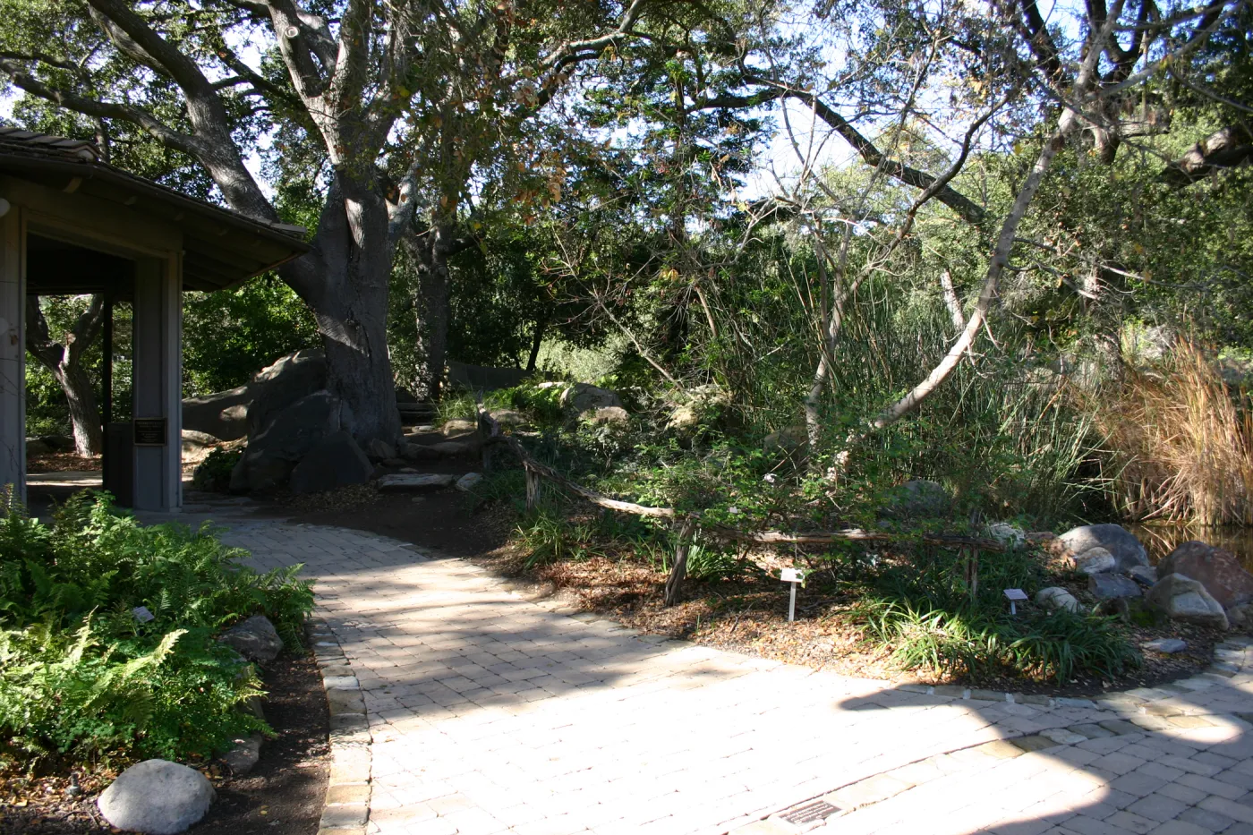 pavered path to the Meadow pond and information kiosk