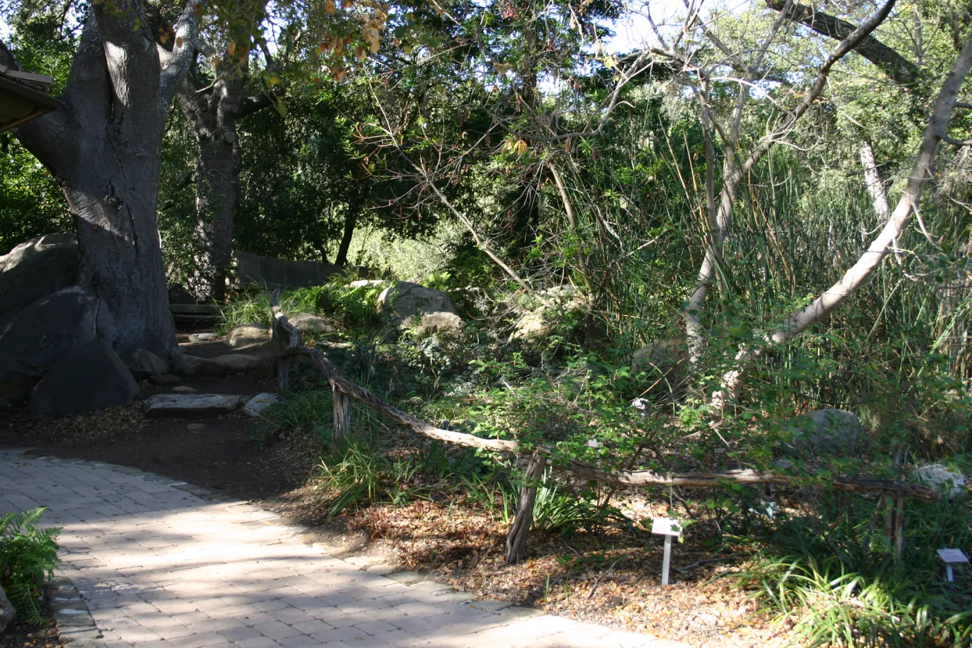 pavered path to the Meadow pond and information kiosk