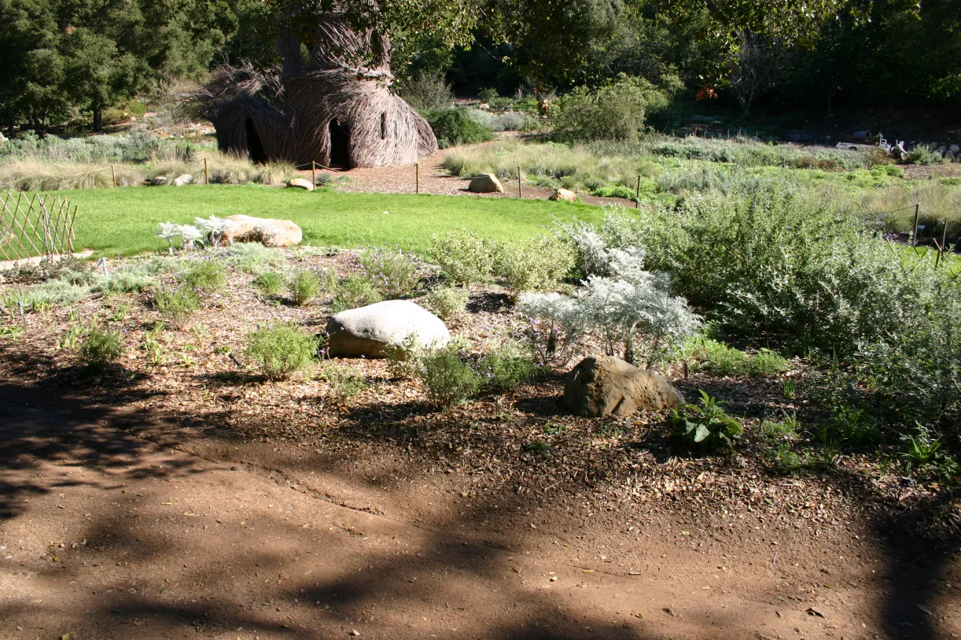 unpaved path under the Meadow Oaks