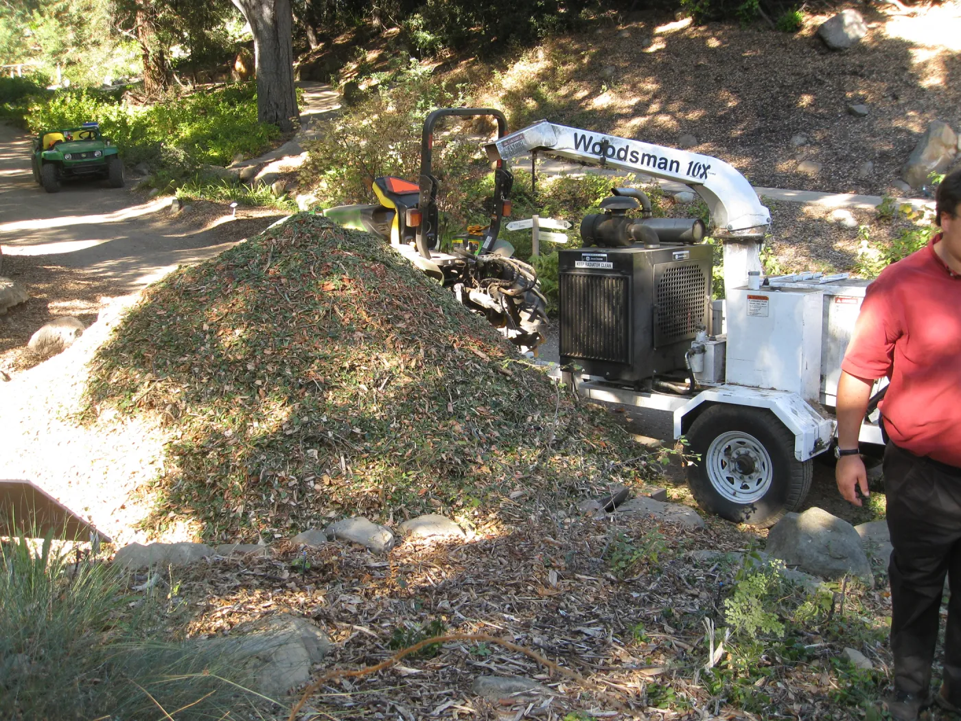 Fallen oak tree in Discovery Garden being chipped