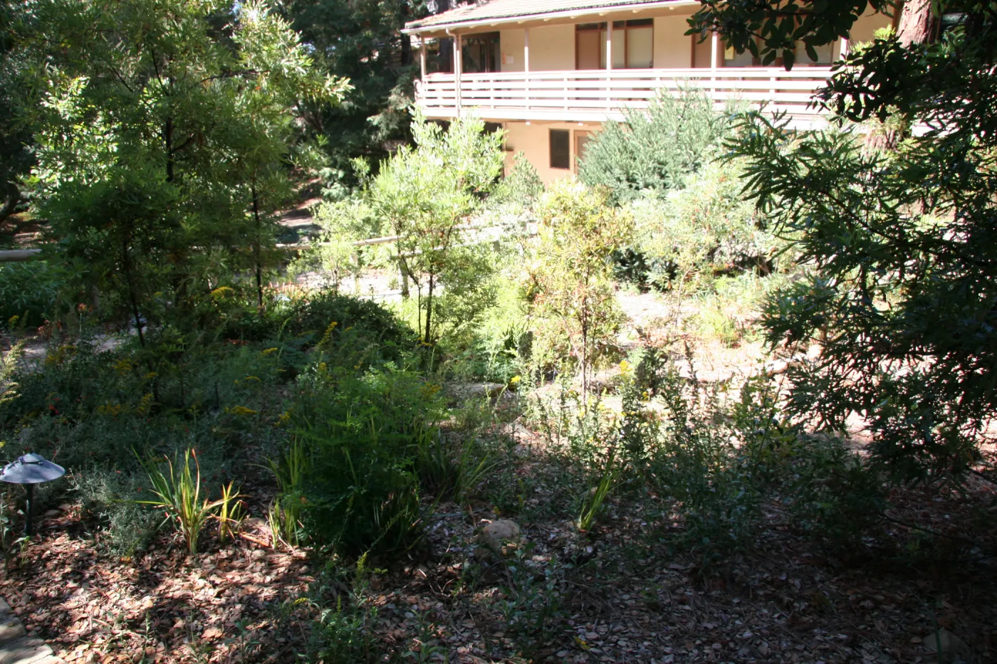 Arroyo Section