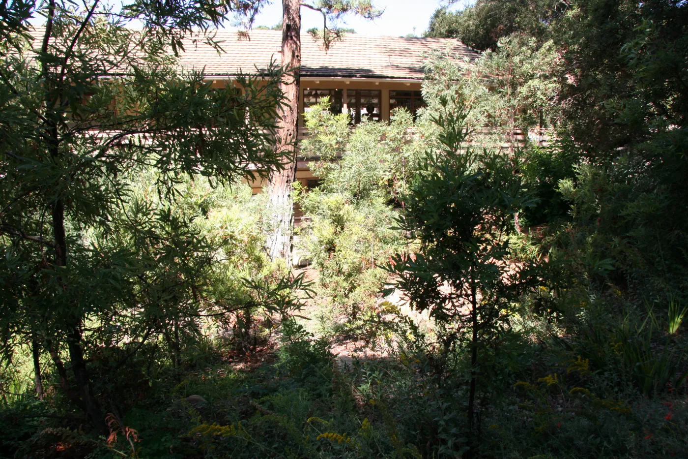 Arroyo Section