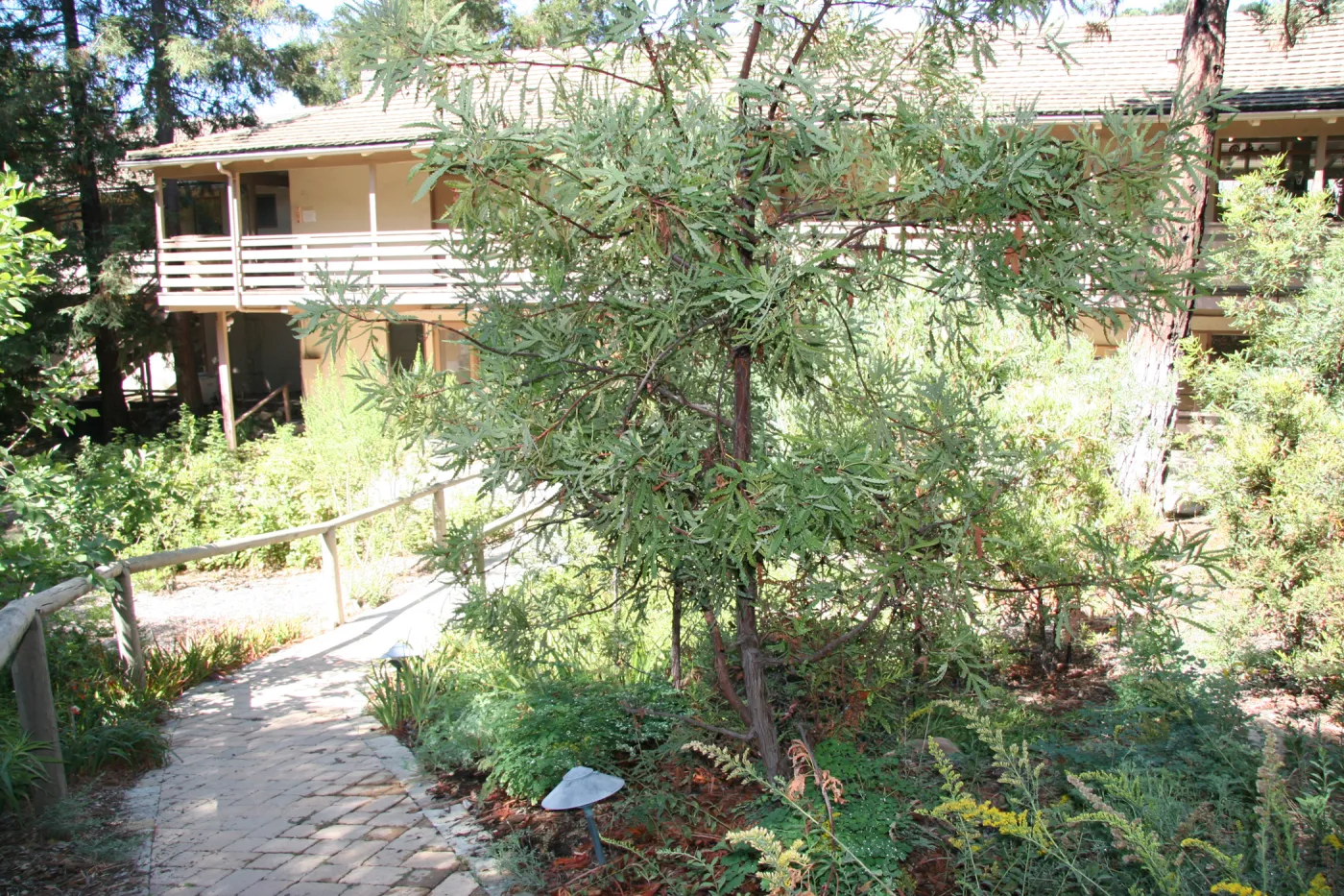 Arroyo Section