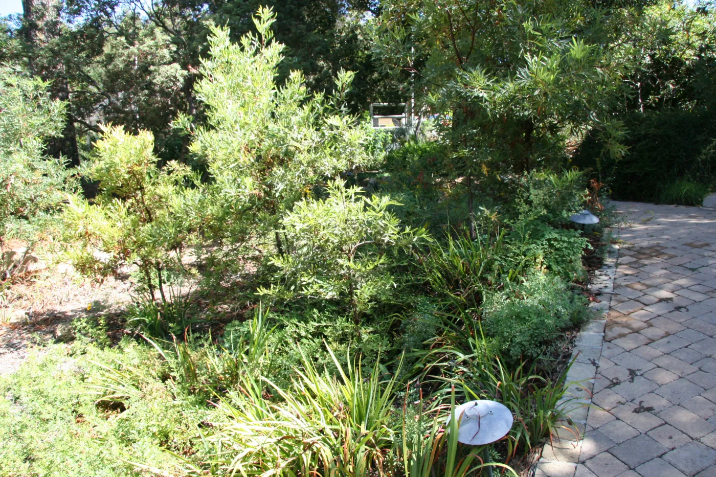 Arroyo Section