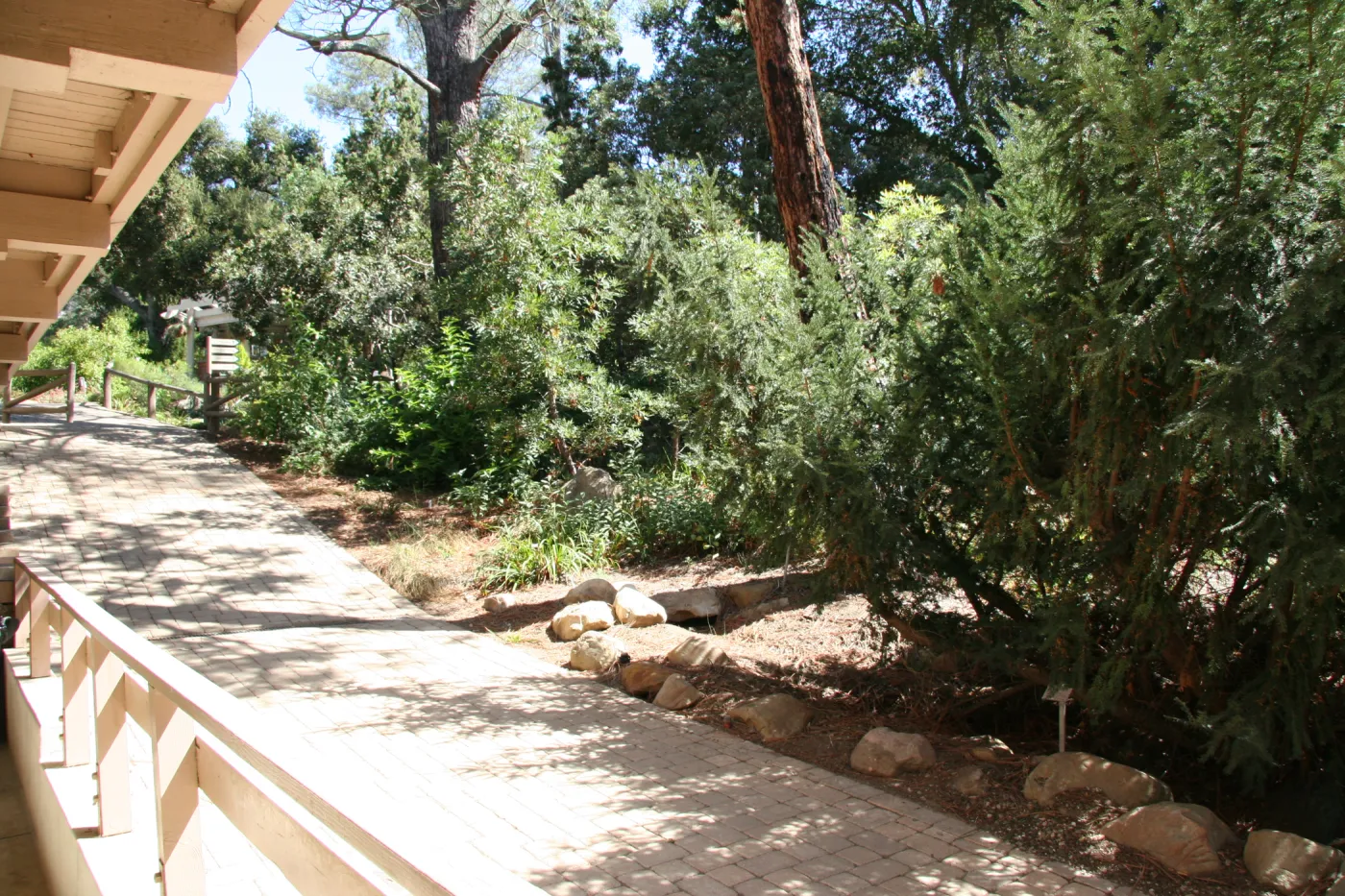 Arroyo Section