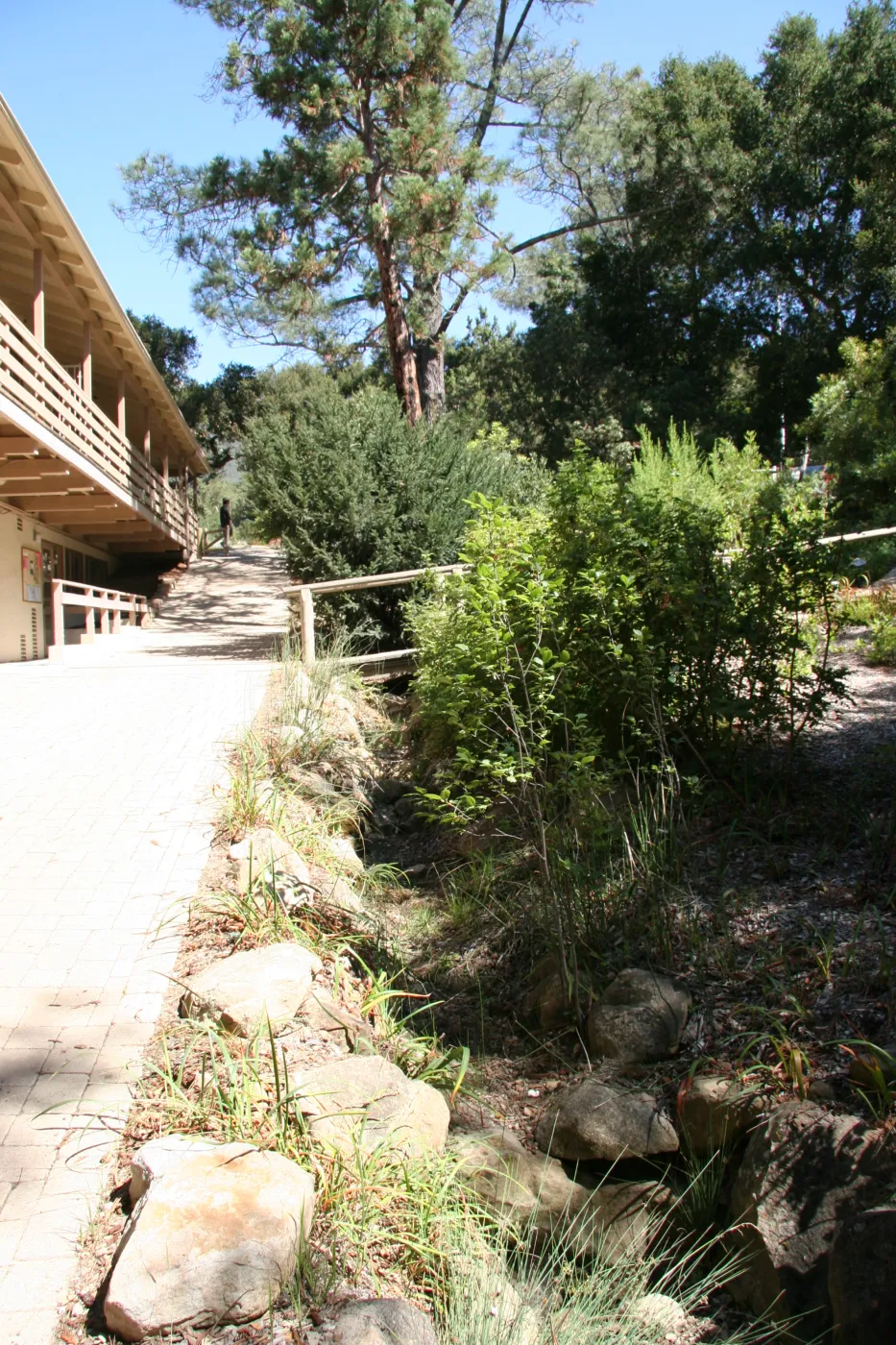 Arroyo Section